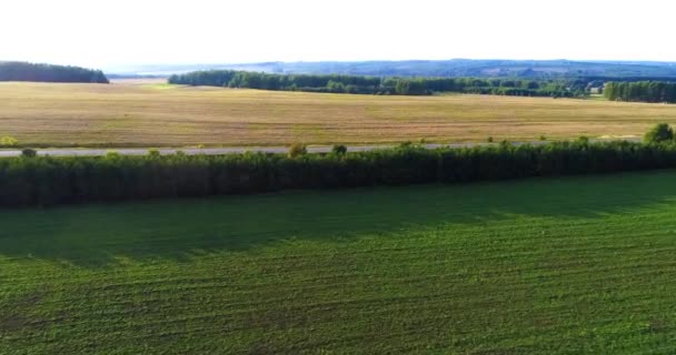 Flygfoto Ovanifrån Grön Gräsbevuxen Gräsbevuxen Åker Bördig Äng Solig Dag — Stockvideo