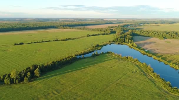 Uitzicht Vanuit Lucht Groene Grasvelden Tarweplantages Zomerdag Bewolkt Blauwe Lucht — Stockvideo