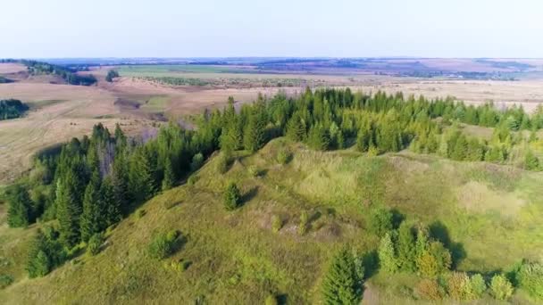 Lot Lotniczy Nad Zielonymi Polami Wzgórzami Drzewami Wsi Nagranie Dronów — Wideo stockowe