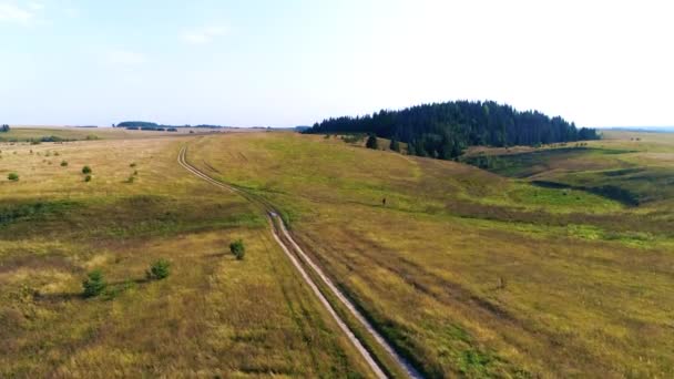 Aerial Flight Green Fields Hills Trees Village Drone Footage — 비디오
