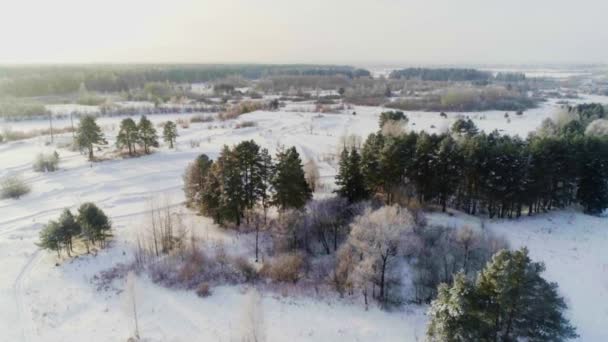 Veduta aerea drone di un paesaggio invernale. Alberi di conifere in tempo gelido . — Video Stock