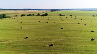 Stacks 'la sahanın üzerinde uçmak. Bir Şahinin Yakın Çekim Robotu