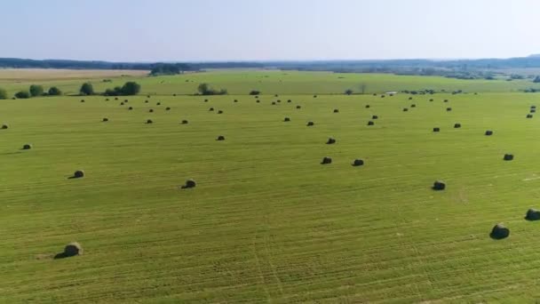 Flying above Field with Stacks - Drone Footage — Stock Video