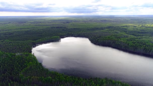 Létání nad jezerem proti lesům smrků a borovic. Kolekce dronů — Stock video