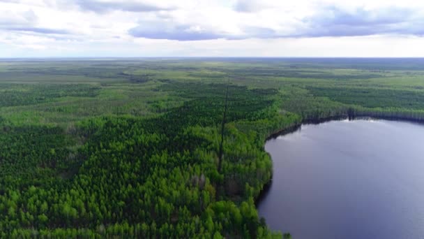 Volare sopra il lago contro le foreste di abeti rossi e pini. Raccolta di droni — Video Stock