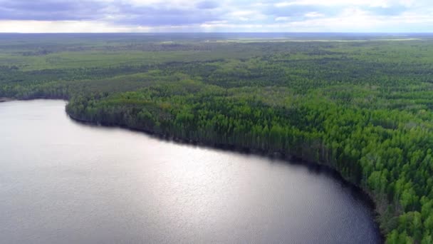Voler au-dessus du lac contre les forêts d'épinettes et de pins. Collection de drones — Video