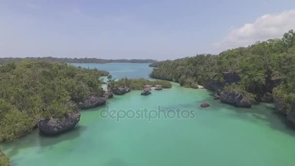 Drone Shot Revealing Secluded Bair Lagoon Surrounded Trees Kei Islands — Stock Video