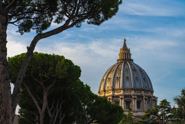 Крупный план собора Святого Петра в солнечную погоду. Green trees, blue sky and Sain Peter 's Basilica in Vatican . — стоковое фото