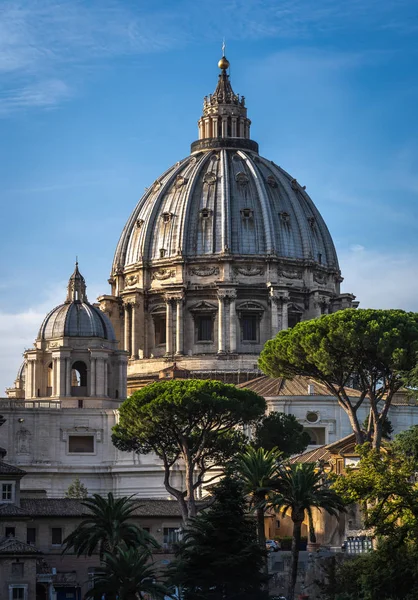 Koepel van St. Peter 's Basiliek bij zonnig weer. Groene bomen, blauwe lucht en de Sint-Pietersbasiliek in Vaticaan. — Stockfoto
