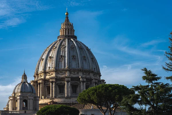 Крупный план собора Святого Петра в солнечную погоду. Green trees, blue sky and Sain Peter 's Basilica in Vatican . — стоковое фото