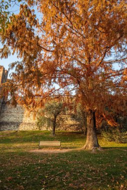 Kalenin yakınındaki ağaçlarla güzel sonbahar manzarası