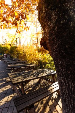 Tavoli del giardino con lo sfondo autunnale
