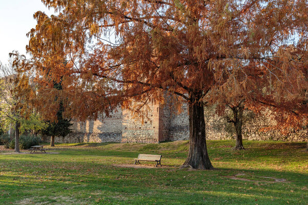 View of beautiful autumn landscape with trees near the fortress