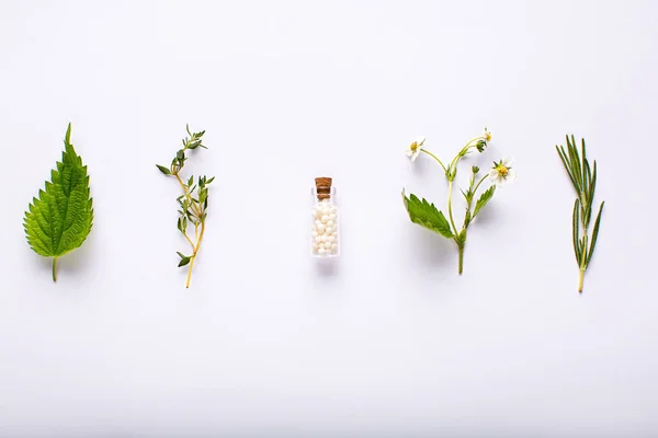 Fles Essentiële Homeopathie Bolletjes Rozemarijn Brandnetel Tijm Wilde Aardbei Witte — Stockfoto