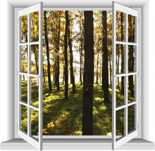 Ablakot, kilátással az erdő. — Stock Fotó