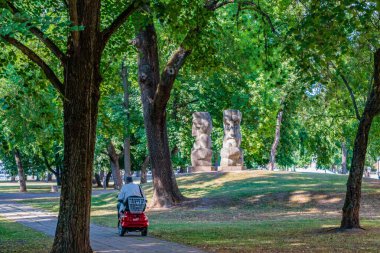Şehir parkının eski ağaçları. Güneşli yaz günü.