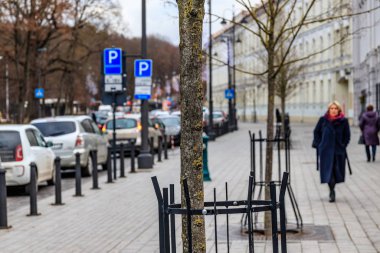 Koruyucu demir çitteki genç ağaç. Yakın plan. Şehir sokağı.
