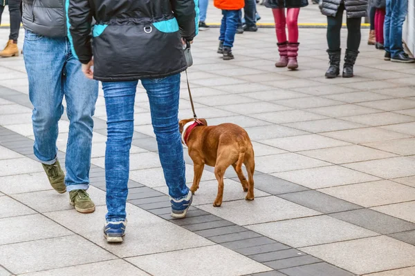 A man walking down the street with a dog.