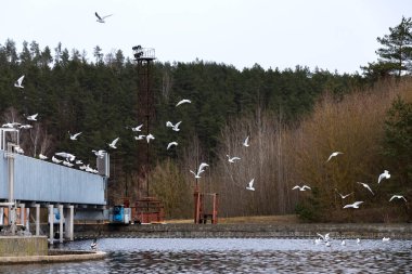 Endüstri. Tedavi tesisleri. Biyolojik tedavi. Hava desteği için teknik donanım.