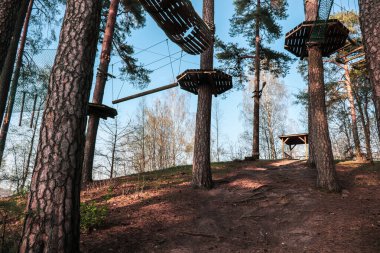 Ormandaki engelli parkurun ahşap halkaları. Sıra dışı spor.