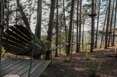 Ormanda engelli parkur için ahşap halka. Sıra dışı spor.
