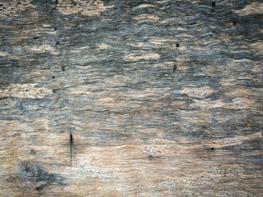 eski ahşap background.texture kabuk ahşap doğal backgrou kullanın