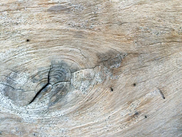 Fundo velho da madeira.textura do uso da madeira da casca como backgrou natural — Fotografia de Stock