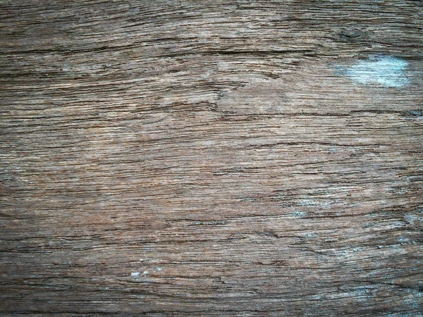 Old wood background.texture of bark wood use as natural backgrou — Stock Photo, Image