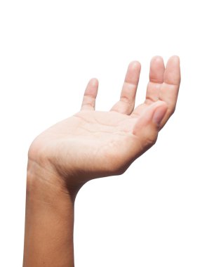 Beyaz izole zemin üzerinde boş eller.