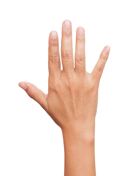 Открытая рука женщины или номер пять изолированы — стоковое фото