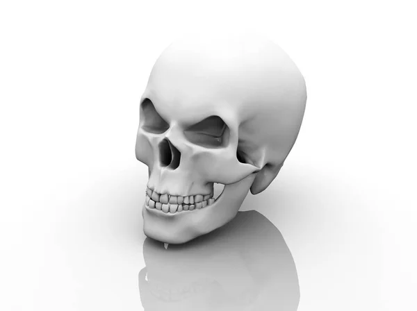 Human skull on white background. 3D illustration — Stock Photo, Image