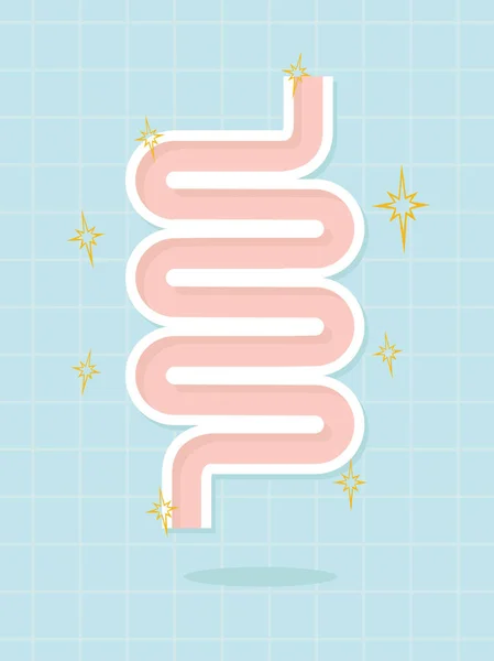 Diseño del vector intestinal, concepto saludable — Vector de stock