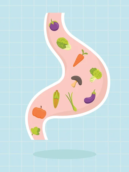 Verduras en el diseño del estómago, concepto saludable, Vector — Archivo Imágenes Vectoriales