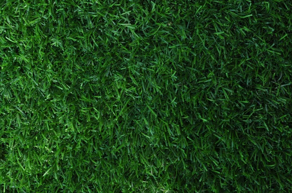 Tekstuuri vihreä ruoho. Taustaa vihreä nurmi ruohoa. Kaakaokoostumus — kuvapankkivalokuva