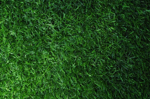 Textura hierba verde. Fondo de césped verde hierba. Textura de cacao — Foto de Stock