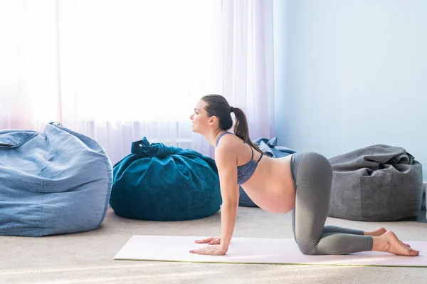 Beautiful young pregnant woman is engaged in pilates. The expectant mother plays sports while waiting for the birth of a child. — Stock Photo, Image