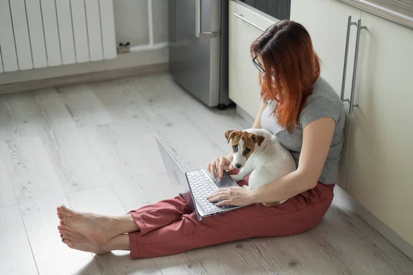 강아지 잭 러셀 테리어가 정부의 무릎에 앉아 있습니다. 한 여자 가 아파트 바닥에 앉아서 노트북으로 공부를 하고 있습니다. 격리 된 곳 에서의 원격 작업. — 스톡 사진