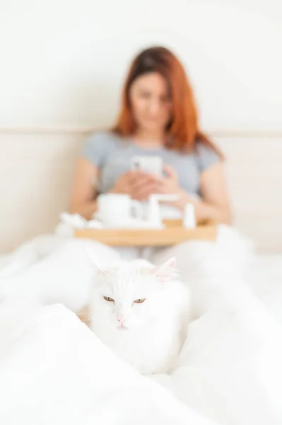 Женщина сидит в постели с мобильным телефоном в руках. Белая кошка лежит у ног хозяйки с простудой. Девушка с сезонным гриппом пишет смс на мобильный. . — стоковое фото