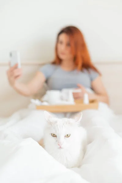 A woman is sitting in bed with a mobile phone in her hands. A white cat lies at the feet of the mistress with a cold. A girl with seasonal flu makes a video call.