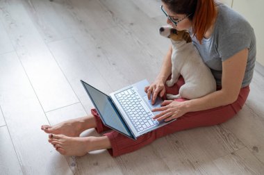 Evden çalışan bir kadın. Bir kız, evinde kucağında köpek yavrusu Jack Russel Terrier ile yerde oturuyor ve dizüstü bilgisayarla ders çalışıyor. Karantinada uzaktan çalışma.
