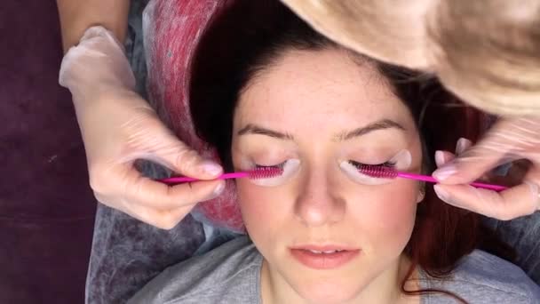 Une femme est allongée les yeux fermés dans une procédure de beauté. Le maître peigne les cils d'extension avec un pinceau rose. Top veiw — Video