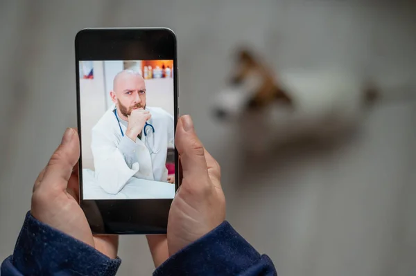 The veterinarian advises the dog owner online on his mobile. A woman talking to a doctor in a video chat about a pet. Close-up of female hands with a smartphone. A male vet treats a puppy.