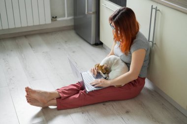 Yavru Jack Russell Terrier metresinin kucağında oturuyor. Bir kadın evinde yerde oturuyor ve dizüstü bilgisayarla ders çalışıyor. Karantinada uzaktan çalışma.