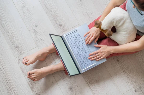 Mulher sem rosto a trabalhar em casa. Menina irreconhecível sentado no chão com um filhote de cachorro de Jack Russell Terrier em seus braços em seu apartamento e estudando em um laptop. Trabalho remoto em quarentena . — Fotografia de Stock