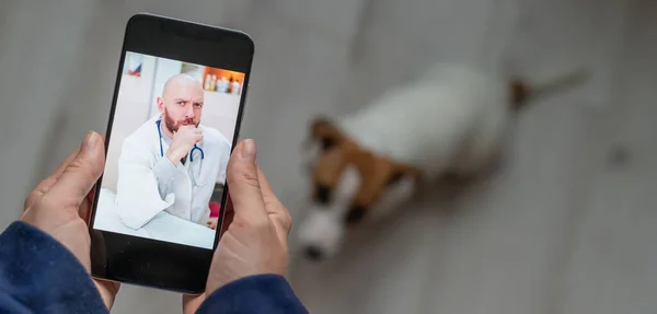 Ο κτηνίατρος συμβουλεύει τον ιδιοκτήτη του σκύλου online στο κινητό του. Μια γυναίκα που μιλάει σε ένα γιατρό σε μια βιντεοκλήση για ένα κατοικίδιο. Κοντινό πλάνο των γυναικείων χεριών με ένα smartphone. Ένας αρσενικός κτηνίατρος περιποιείται ένα κουτάβι. — Φωτογραφία Αρχείου