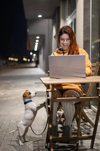 Femme souriante travaillant sur un ordinateur portable à une table en bois dans la rue. La fille regarde le moniteur et Jack Russell Terrier est assis en laisse. Freelance promenades le chien dans la soirée. Un chiot loyal . — Photo