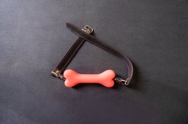 Kemik şekilli şaka. BDSM konsepti. Yetişkinler için rol yapma oyunları. Egemenlik ve itaat.
