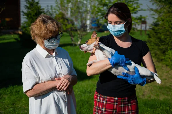 Žena drží štěně a její starší matka je oblečena v lékařských maskách, aby se chránila před virem. Žena v důchodu a její dospělá dcera. Pes procházka v parku během epidemie koronaviru. — Stock fotografie