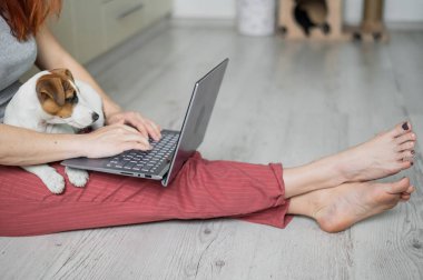 Yavru Jack Russell Terrier oturuyor ve meçhul kızların kucağını kaçırıyor. Tanımlanamayan bir kadın yerde rahat bir pozisyonda oturuyor ve dizüstü bilgisayarla yazı yazıyor..