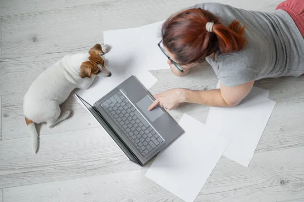Une femme s'allonge sur le ventre par terre et tape sur un ordinateur portable. Fille pigiste travaille à distance de la maison avec un chiot. Jack Russell Terrier à côté du propriétaire dans une position confortable . — Photo